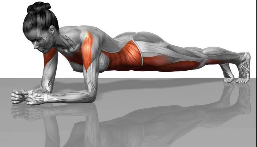 Plank